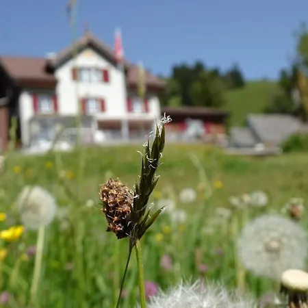 Gasthof Schwand
