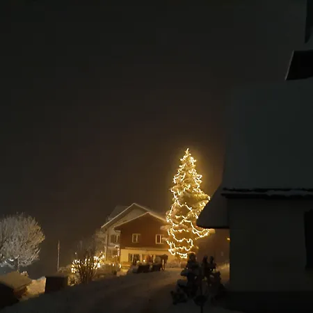 Schwand 宾馆 英格堡