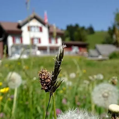 Kro Schwand Engelberg
