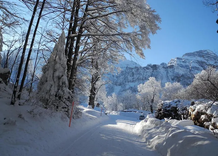 Schwand Inn Engelberg