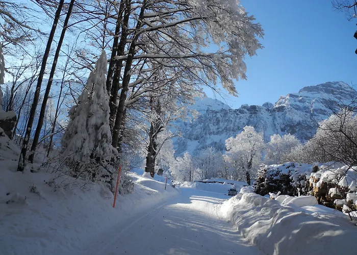 Schwand 宾馆 英格堡